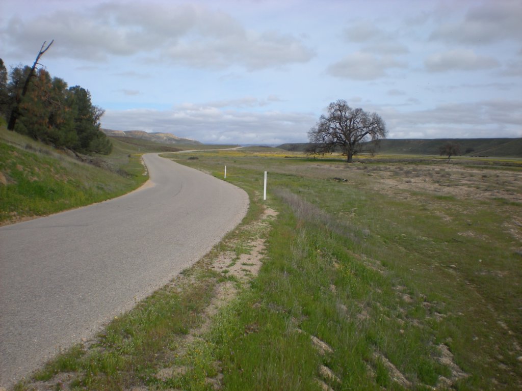 photo5.jpg