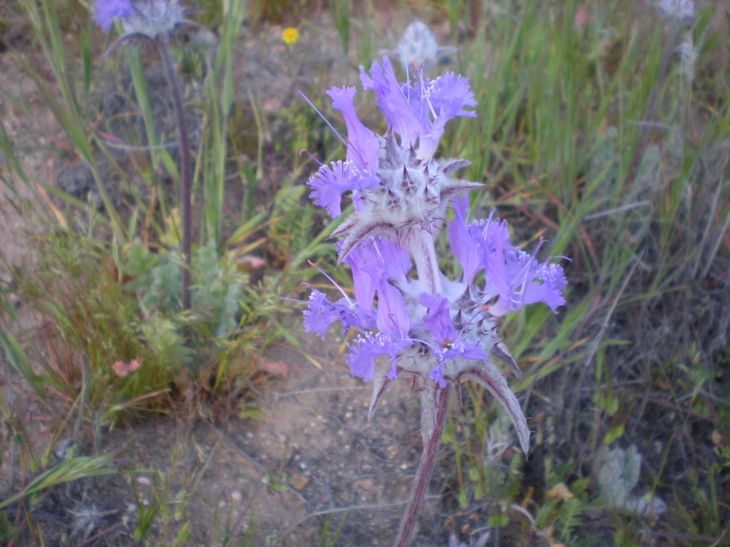 photo74.jpg