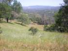 photo15_small.jpg