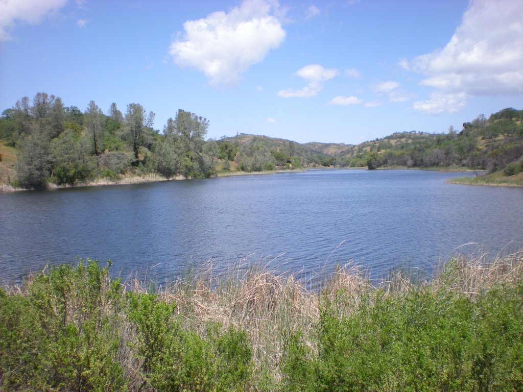 photo25.jpg