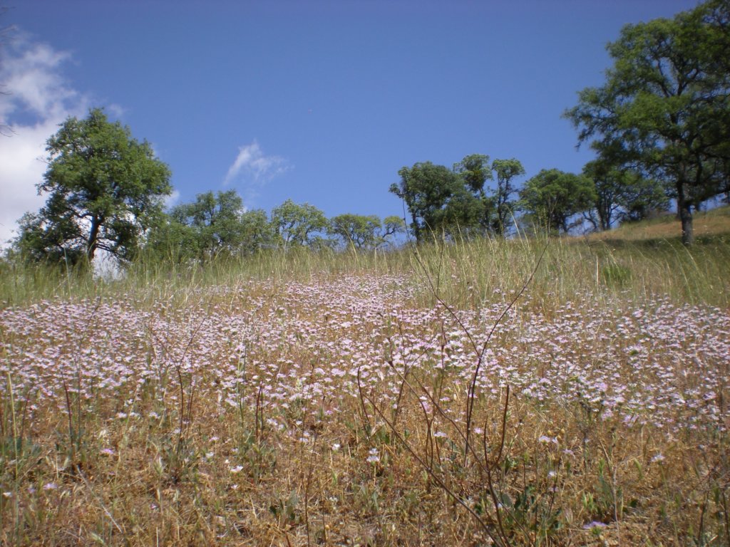 photo28.jpg