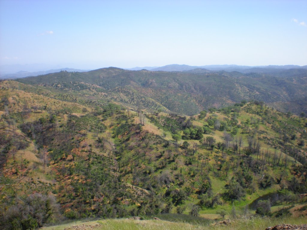 photo46.jpg