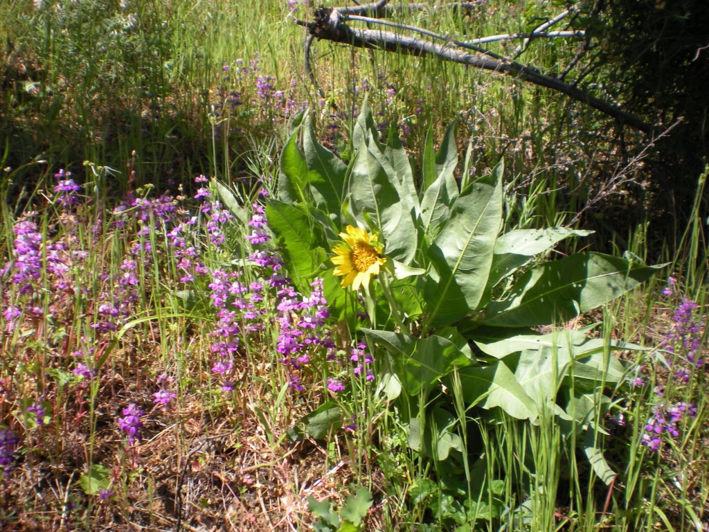 photo6.jpg
