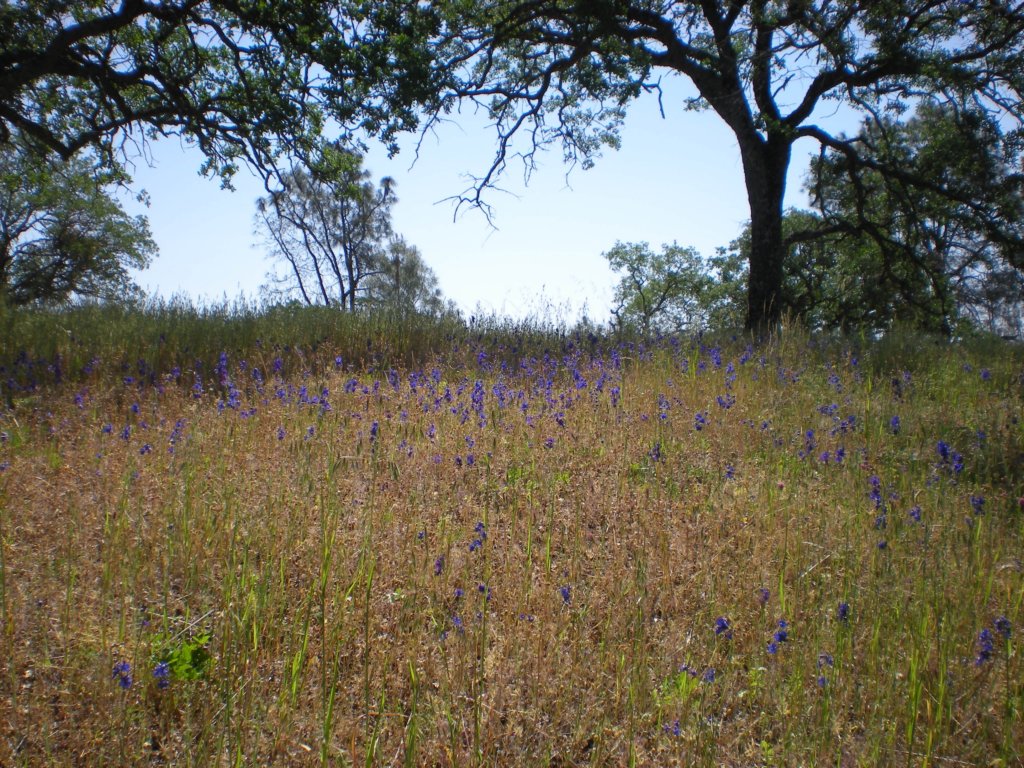 photo8.jpg