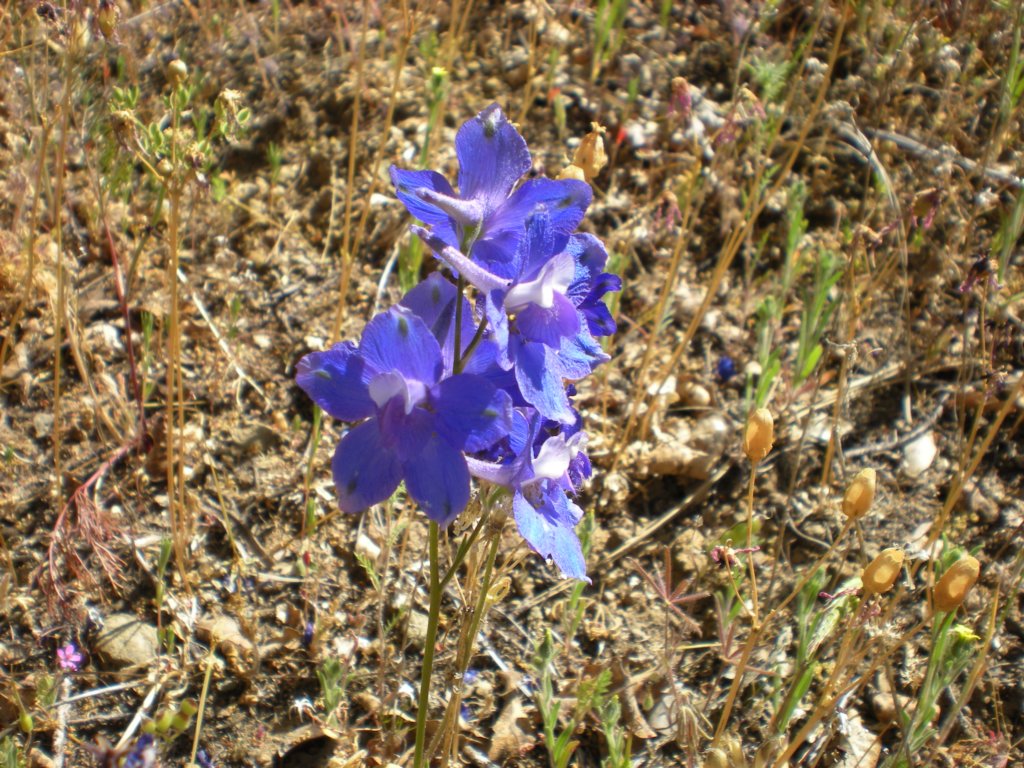 photo9.jpg