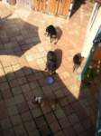 dscn0425_small.jpg