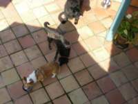 dscn0426_small.jpg