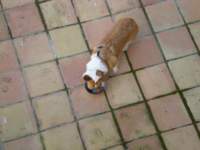 dscn0427_small.jpg