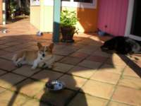 dscn0434_small.jpg