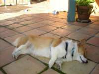 dscn0438_small.jpg