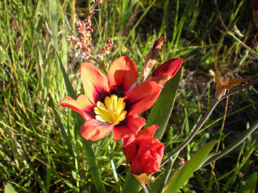 dscn0455.jpg