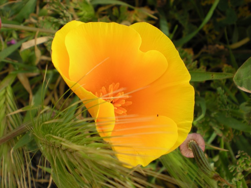 monterey2009004.jpg