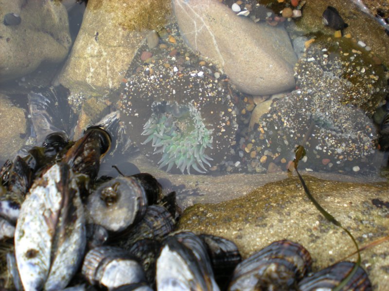 monterey2009005.jpg