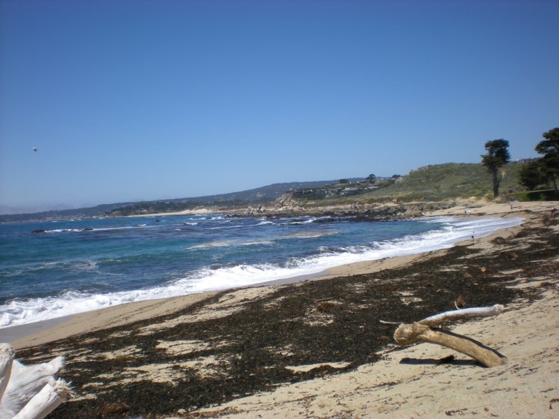 monterey2009017.jpg