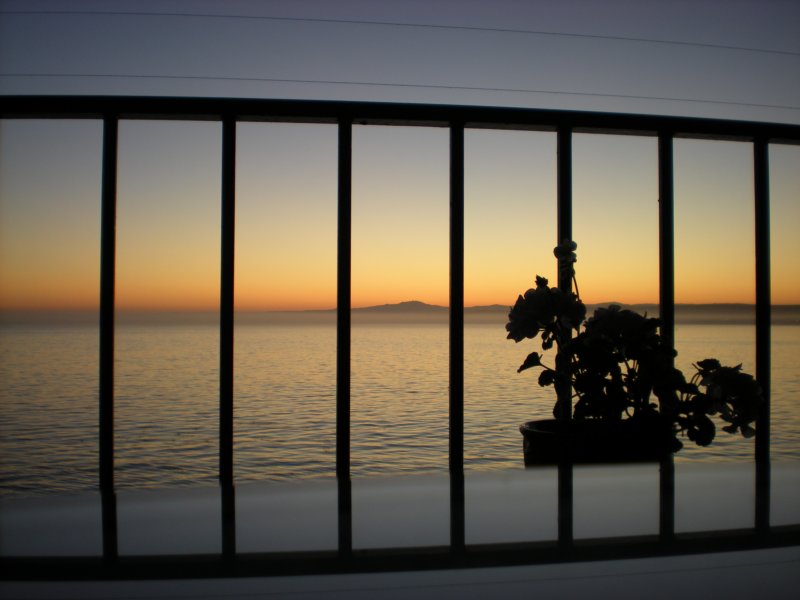 monterey2009033.jpg