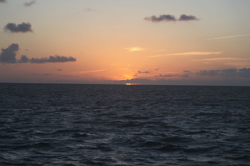 img_1001.jpg