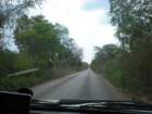 yucatan2009224_small.jpg