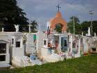 yucatan2009234_small.jpg