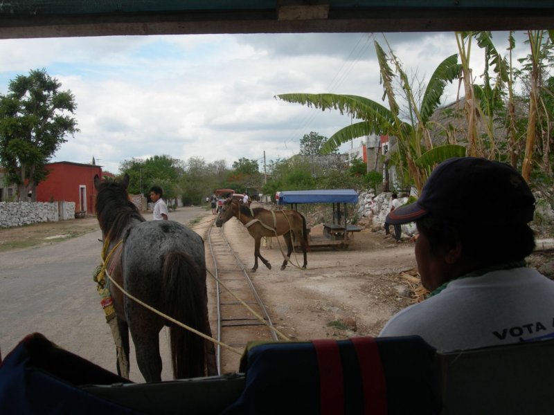 yucatan2009003.jpg