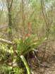 yucatan2009040_small.jpg