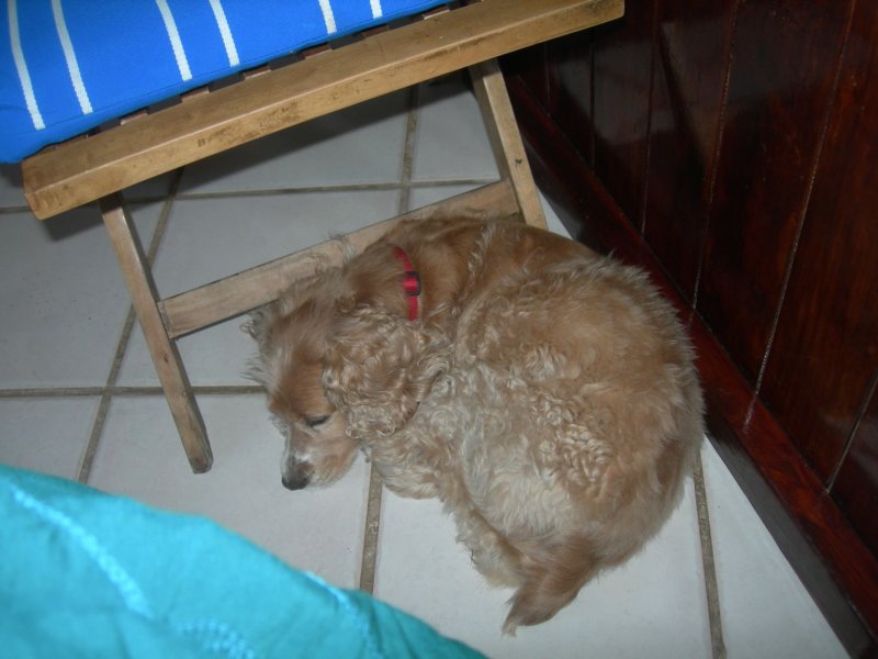 yucatan2009161.jpg