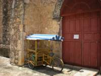 yucatan2009348_small.jpg