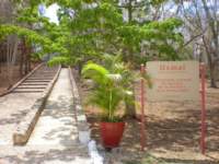 yucatan2009354_small.jpg