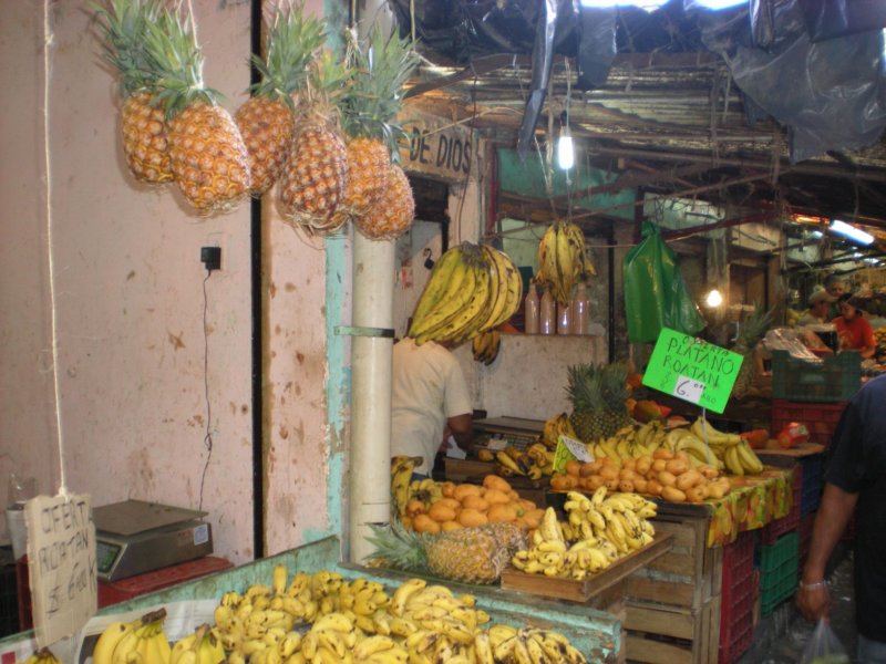 yucatan2009484.jpg