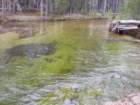 yosemitefalls015_small.jpg