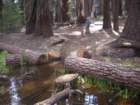 yosemitefalls090_small.jpg
