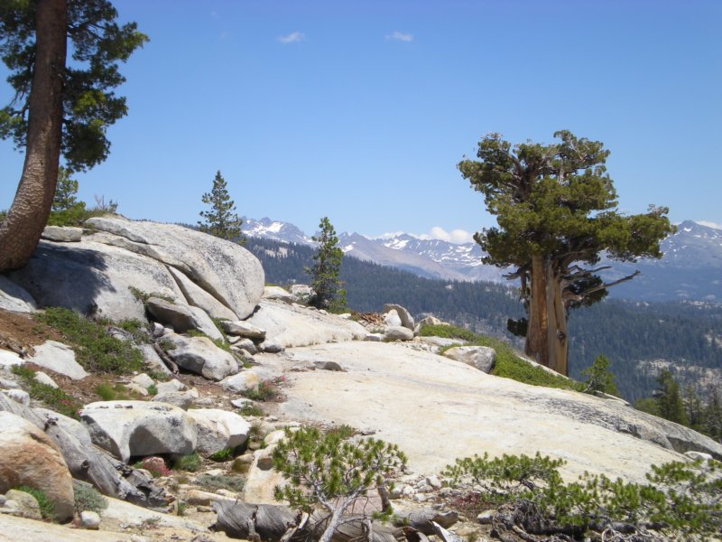 anseladamswillderness015.jpg