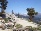 anseladamswillderness015_small.jpg