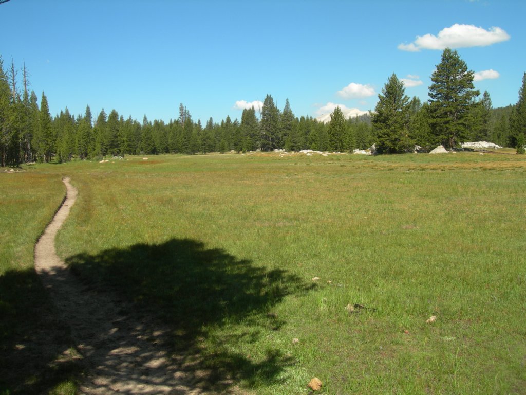 summertrip1010.jpg