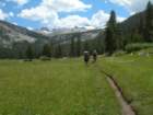 summertrip1038_small.jpg