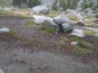 summertrip1055_small.jpg