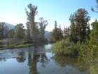 summertrip1062_small.jpg