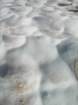 summertrip1130_small.jpg