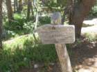 summertrip1171_small.jpg