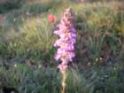 summertrip1251_small.jpg