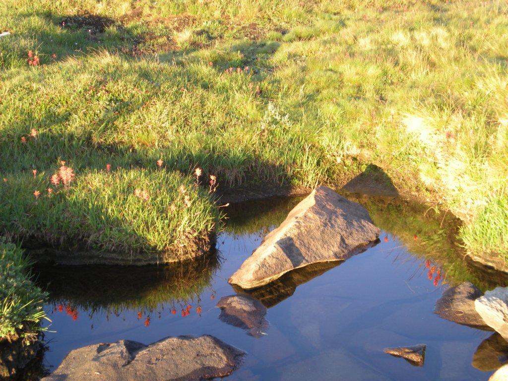 summertrip1274.jpg