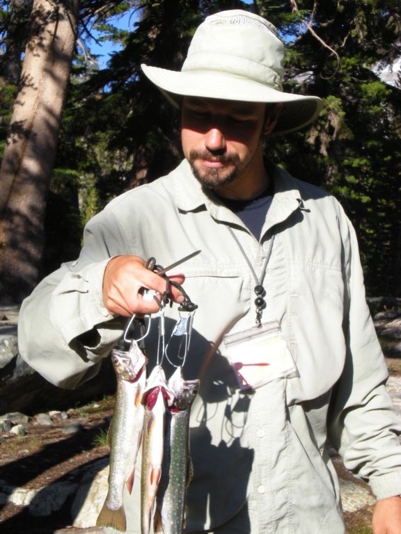 summertrip1429.jpg
