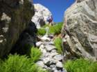 summertrip1438_small.jpg