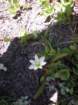summertrip1443_small.jpg