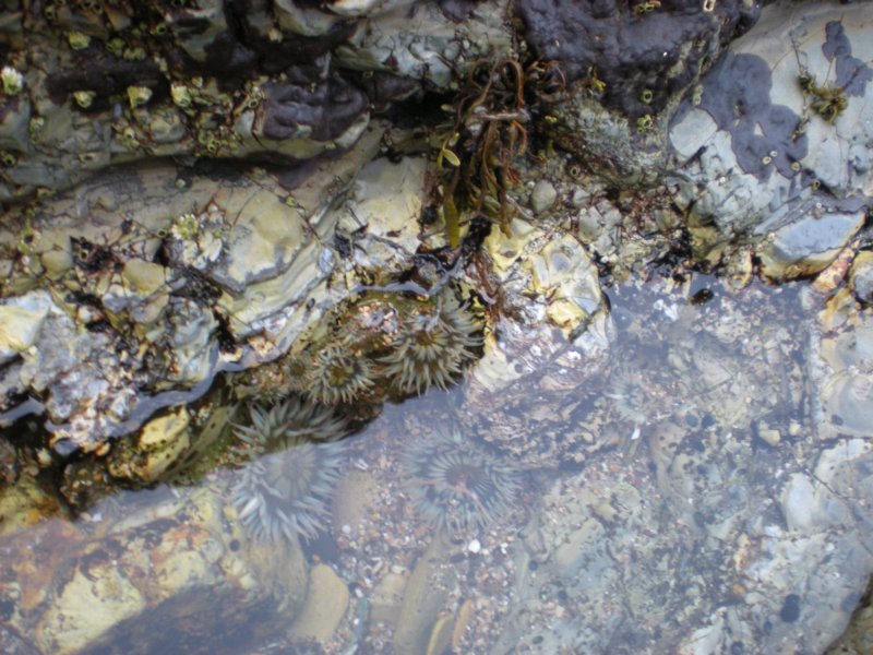 photo21.jpg