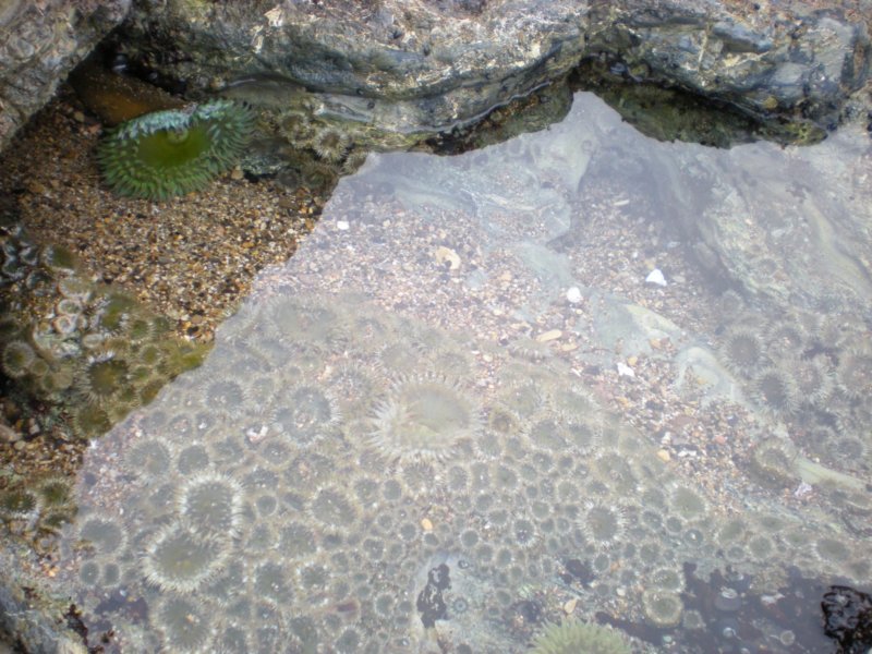 photo25.jpg