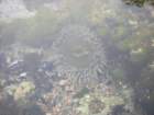 photo35_small.jpg