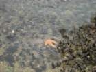photo38_small.jpg