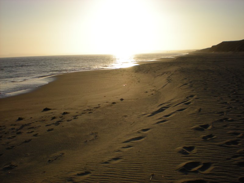 photo5.jpg