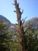 evolutionbasintrip495_small.jpg