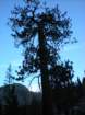 evolutionbasintrip518_small.jpg